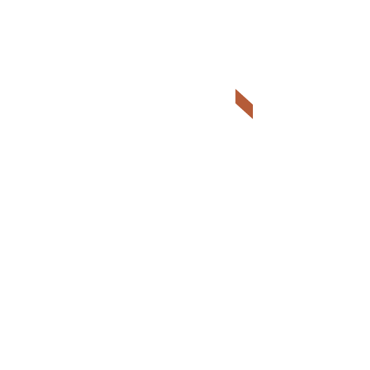 چراغ ترک لایت