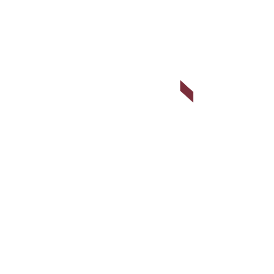 اکسسوری چراغ